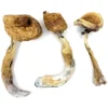 magic mushroom