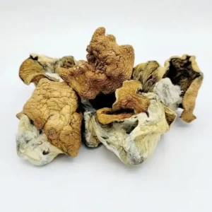 magic mushrooms